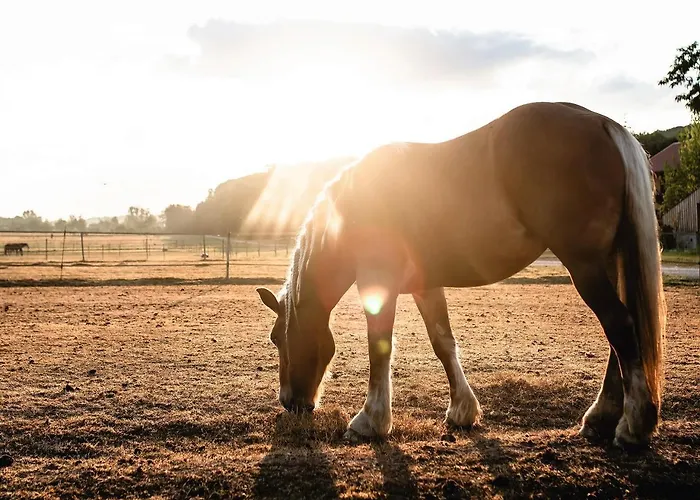 Le Barn 4* Bonnelles